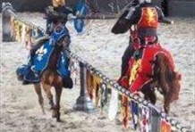 Medieval Times Dinner & Tournament with Transfer